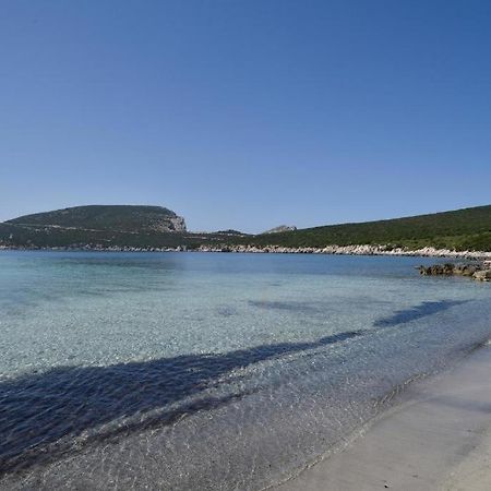 Pischina Salida-Villetta Pavoncelle Alghero Exteriör bild