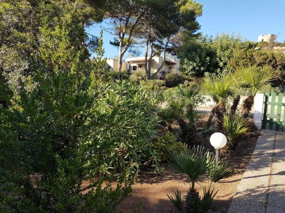 Pischina Salida-Villetta Pavoncelle Alghero Exteriör bild